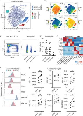 CD169 Defines Activated CD14+ Monocytes With Enhanced CD8+ T Cell Activation Capacity